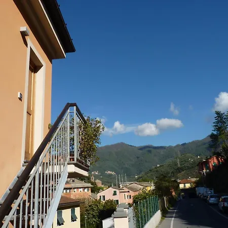 La Gerbera-3