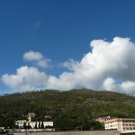 La Gerbera-2